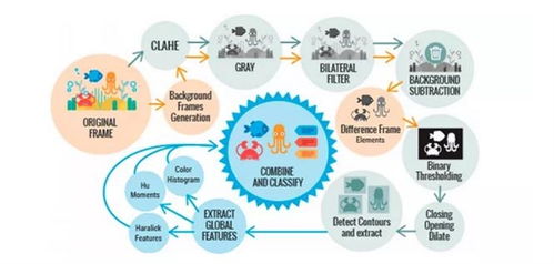 海洋生物檢測新方法 基于視覺數(shù)據(jù)自動識別與分析技術(shù)